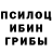Галлюциногенные грибы GOLDEN TEACHER MrCorkie