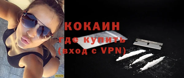 твердый Алексин