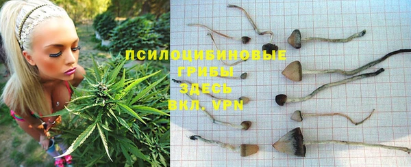 СК Алексеевка