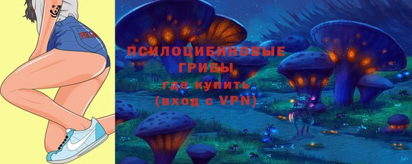 твердый Алексин