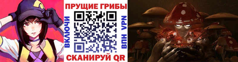 магазин продажи наркотиков  Жигулёвск  Галлюциногенные грибы ЛСД 